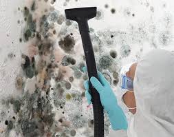 Mold Documentation for Insurance Claims in Perry, OK